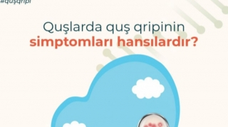 AQTA-dan quş qripi ilə bağlı əhaliyə XƏBƏRDARLIQ   - FOTO