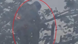 Maşın bazarında ağac kəsən avtosalon sahibi cəzalandırılacaq - Rəsmi açıqlama - VİDEO