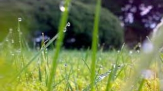 Sabaha gözlənilən hava proqnozu açıqlanıb