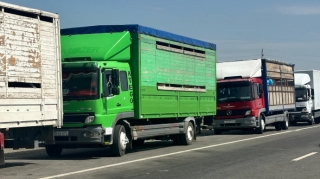 Xocalıya növbəti köç karvanı yola salındı  