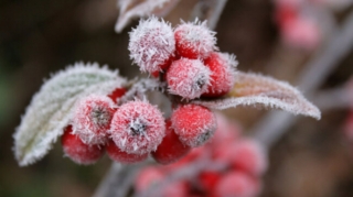 Bakıya yenə qar yağacaq - 1-3° şaxta