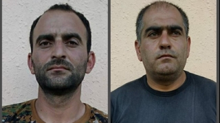 İsmayıllıda meşədə narkotik plantasiyası salan şəxslər saxlanılıb  - FOTO