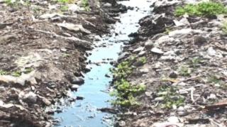 Azərbaycanda rayon mərkəzi çirkab sularına qərq olub  - VİDEO