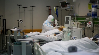 Azərbaycanda daha 242 nəfər koronavirusa yoluxub  - FOTO