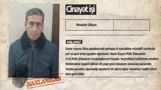 Binədə 9 mənzildən oğurluq edən şəxs həbs edilib - VİDEO 