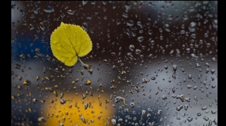 Sabah hava yağışlı olacaq