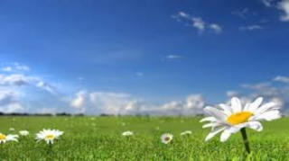 Sabahın hava proqnozu açıqlanıb