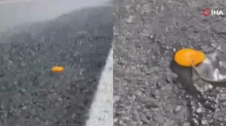 Türkiyədə havanın temperaturu 45 dərəcəyə çatıb:  Asfaltın üstündə qayğanaq bişirdilər  - VİDEO