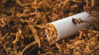 Ölkədə tütün məmulatlarının istehsalı artdı   