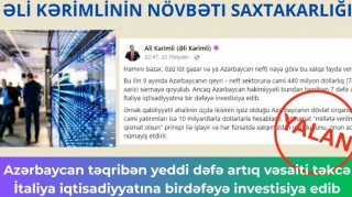 Ложь против цифр: как Али Керимли манипулирует данными об иностранных инвестициях в Азербайджан - ФОТО