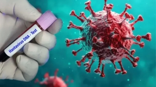 Hantavirus infeksiyası belə yaranır - Həkim DANIŞDI 