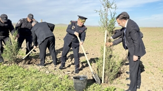 Cəlilabadda Heydər Əliyevin 100 illiyi ilə bağlı ağacəkmə aksiyası keçirilib  - FOTO