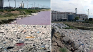 Bu ərazidə antisanitar vəziyyət hökm sürür:  heç bir tədbir görülmür - VİDEO 