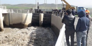 Qubada kanala düşən buzovu çıxarmaq istəyən iki nəfər suda batdı - FOTO