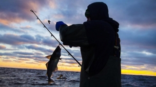 Qanunsuz ov edən şəxs cəzalandırılıb 