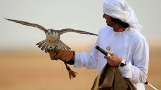 Azərbaycanda ov edən ərəblər cəzalandırıldılar 