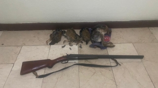 Kürdəmirdə qanunsuz ov edən şəxs saxlanılıb 