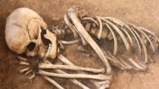 Şəkidə tarixi abidə ərazisində körpə skeletləri tapıldı 