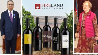 Ramiz Mehdiyevin həyat yoldaşı məhkəməyə verildi  - FOTO