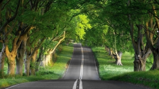 Lənkəranın kənd yolları əsaslı təmir olunur - VİDEO 