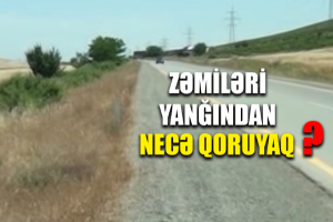 Yol kənarlarında yerləşən taxıl sahələrində yanğın ola bilər - VİDEO