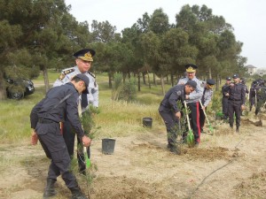 DİN-in generalları polislərlə birlikdə ağac əkdi - Ulu öndərin xatirəsinə - FOTO