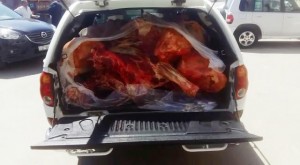 Avtomobildən 500 kq yararsız heyvan əti aşkarlandı - FOTO