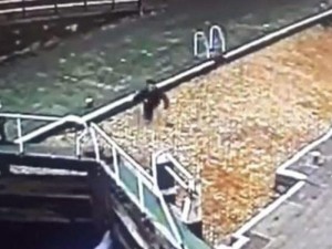 Telefonla oynayan oğlan buz kimi hovuza düşdü – VİDEO