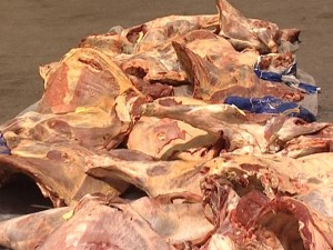 Mənşəyi məlum olmayan 2,5 ton ət məhv edilib