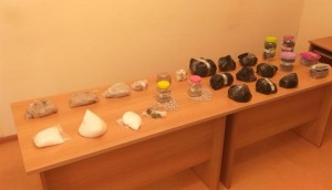 Əmrə tabe olmayan narkotik qaçaqmalçılarına atəş açılıb - FOTO