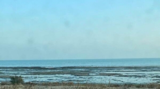 Xəzərdə suyun səviyyəsi 30 metr azalacaq