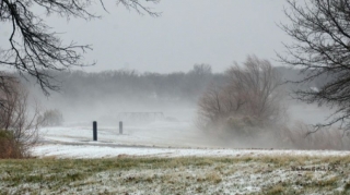 Bu rayonlara qar yağıb - FAKTİKİ HAVA 