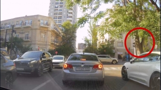 Ağacın arxasında gizlənən svetofor sürücülərə təhlükə yaradır  - VİDEO