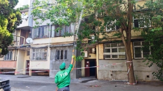 Bakıda ağaclarda dərmanlama işləri aparılır - FOTOLAR 