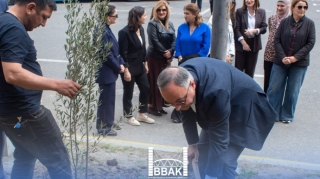 Heydər Əliyevin 103 illiyinə həsr olunan ağacəkmə aksiyası keçirildi - FOTOLAR 