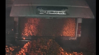 В Кюрдамирском районе загорелся автомобиль с 1,5 тонны мандаринов  - ФОТО