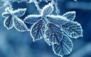 20 Yanvar gününün hava proqnozu: Temperatur düşəcək, şaxta olacaq