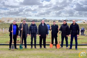“Xaliq Faiqoğlu” şirkəti ağacəkmə aksiyasında iştirak edib  - FOTO