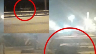 Aeroport yolunda TƏHLÜKƏ  - Qəfl yola çıxan öküzü maşın vurdu - VİDEO