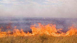 Ermənilər Qazaxla sərhəd ərazidə yanğın törədib