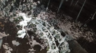 Azərbaycanın şimal bölgəsinə ilk qar yağdı - VİDEO 