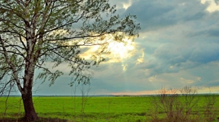 İyun ayının son gününə olan hava proqnozu açıqlandı