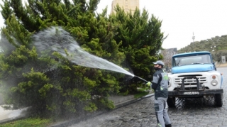 Bakıda ağaclar yuyulur, yaşıllıqlara qulluq göstərilir  - FOTO