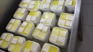 Bərdədə pendir istehsalı müəssisəsində uyğunsuzluq aşkarlanıb - FOTO 