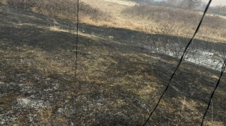 Xocalıda yanğına səbəb olan şəxs saxlanılıb - FOTO 