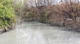 Azərbaycanda acınacaqlı VƏZİYYƏT:  Sakinlər kanalizasiya suyundan istifadə edirlər