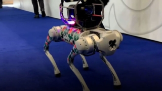 Qazaxıstanda sayrışan işığı olan robot it təqdim edilib - VİDEO 