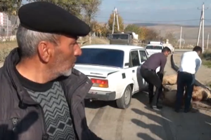 Şamaxıda minik avtomobili qoyun sürüsünə çırpılıb - VİDEO