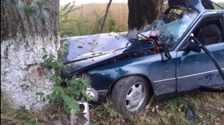 Zaqatalada maşın ağaca çırpıldı, 3 nəfər yaralandı 