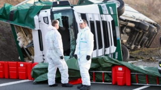 Yük maşını aşdı, 5 min toyuq yük yerindən qaçdı – FOTO 